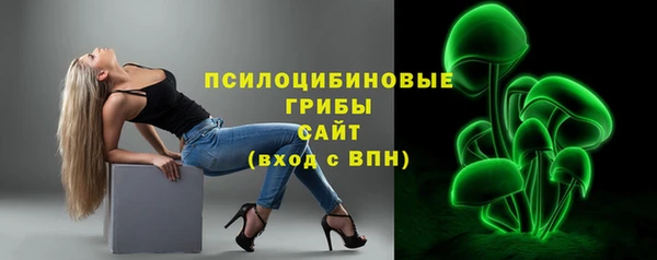 экстази Арсеньев
