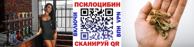 Псилоцибиновые грибы прущие грибы  купить   Калачинск 